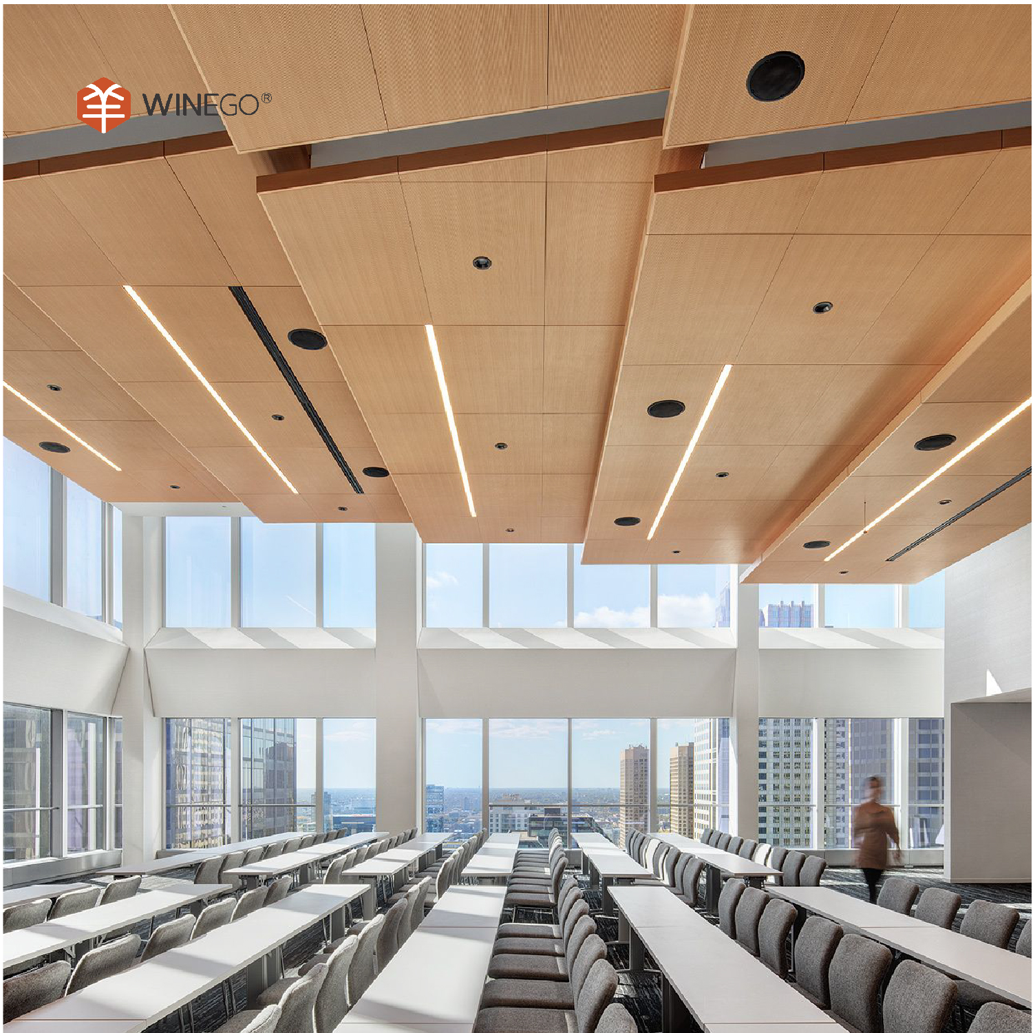 领动2_画板 1 副本