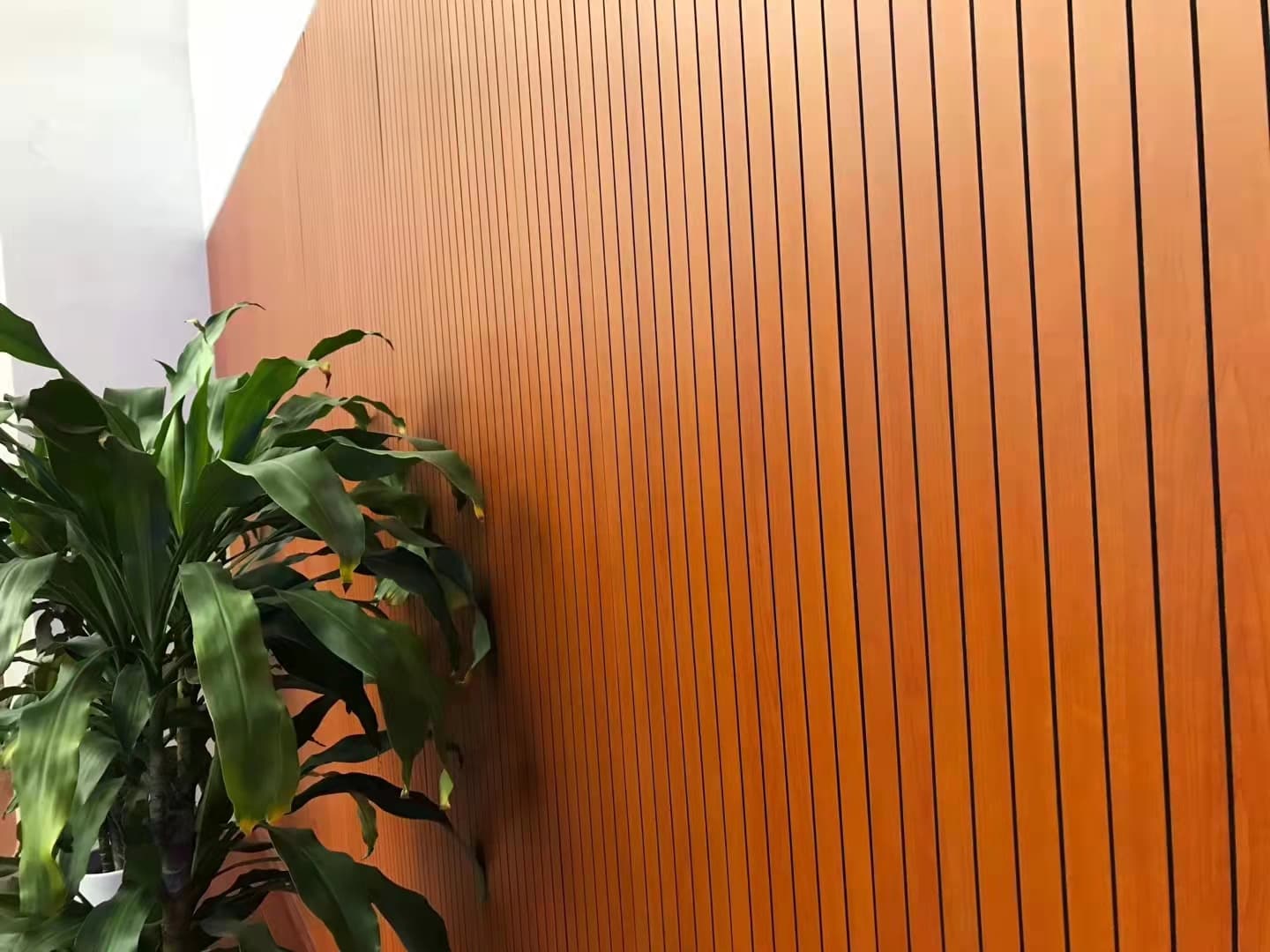 微信图片_202112031521431
