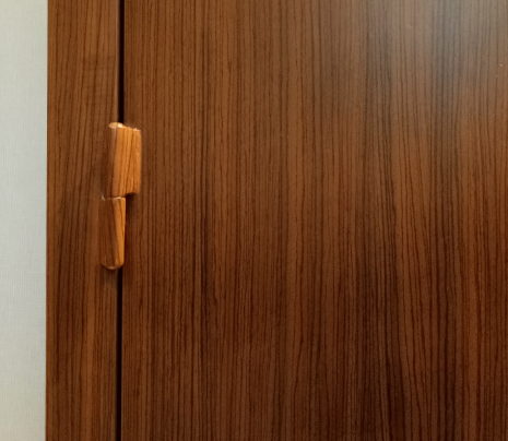 Acoustic doors Acoustic doors